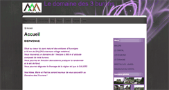Desktop Screenshot of ledomainedes3burons.com